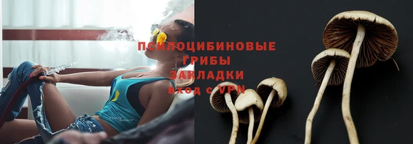 apvp Баксан