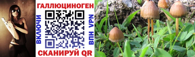 Псилоцибиновые грибы мухоморы  магазин продажи   Кораблино 